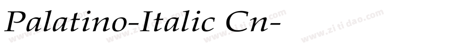 Palatino-Italic Cn字体转换